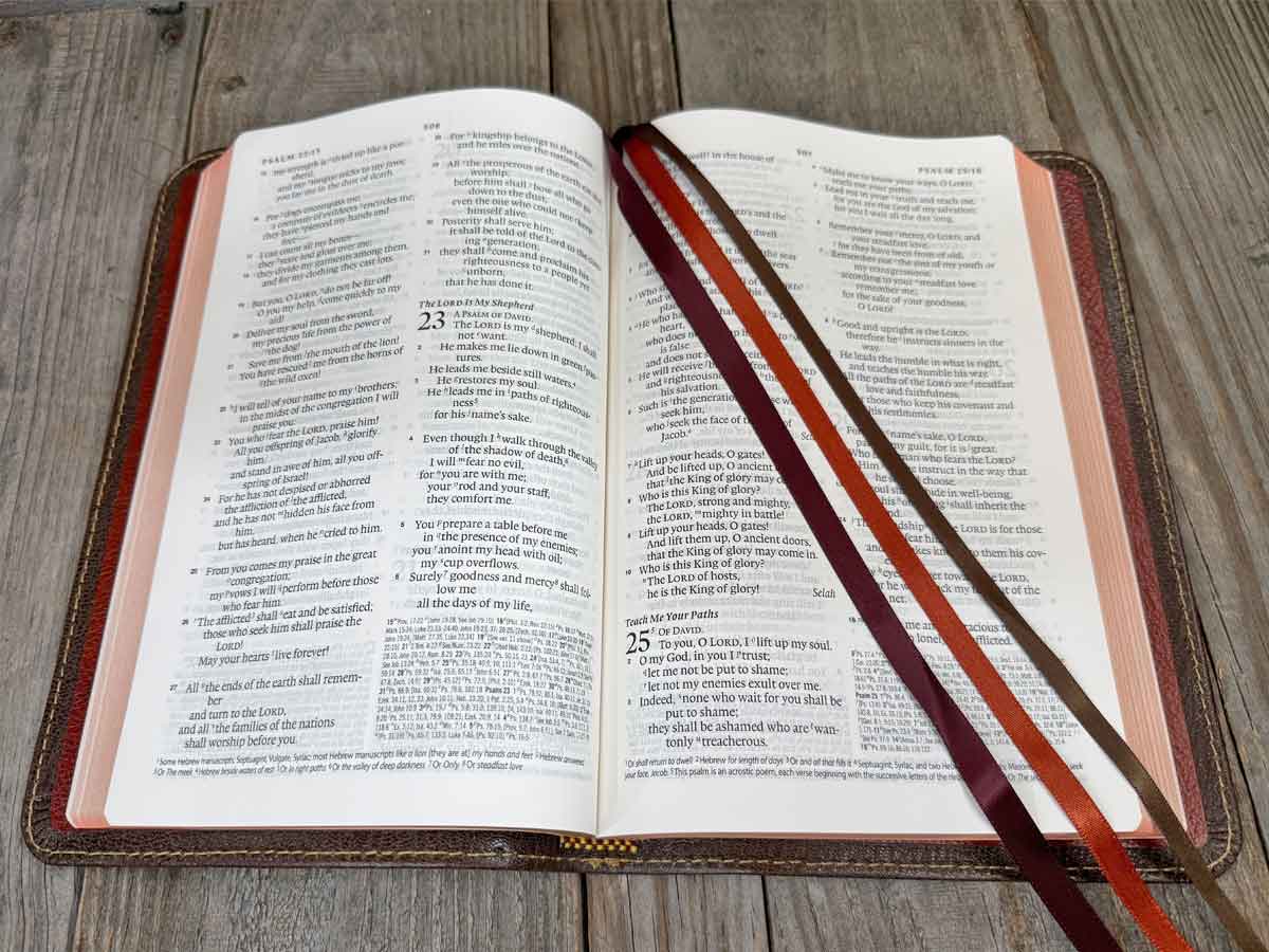 ESV Heirloom, Omega Edition, Thinline Reference Edition - Mocha English Goatskin w/ Matching Journal - Image 7